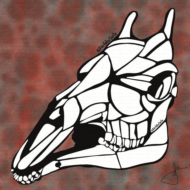 giraffe