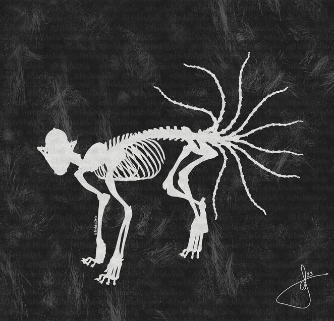 anatomical nine-tailed fox