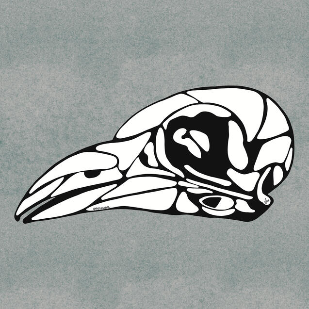 bird