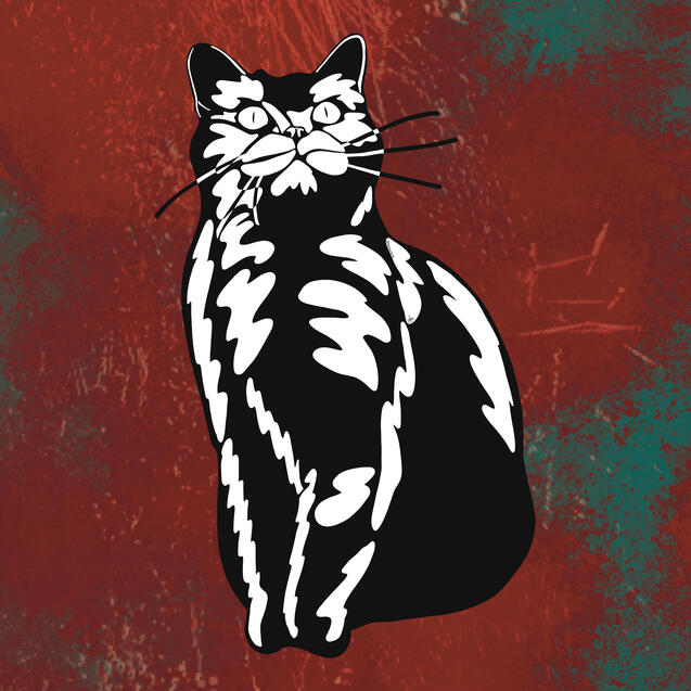 cat