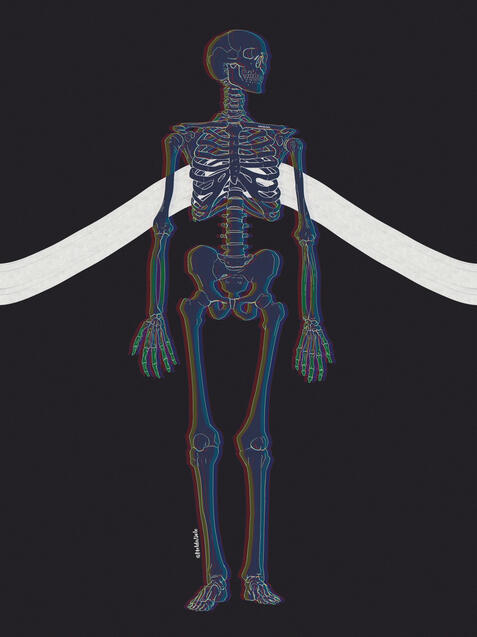 skeletal study
